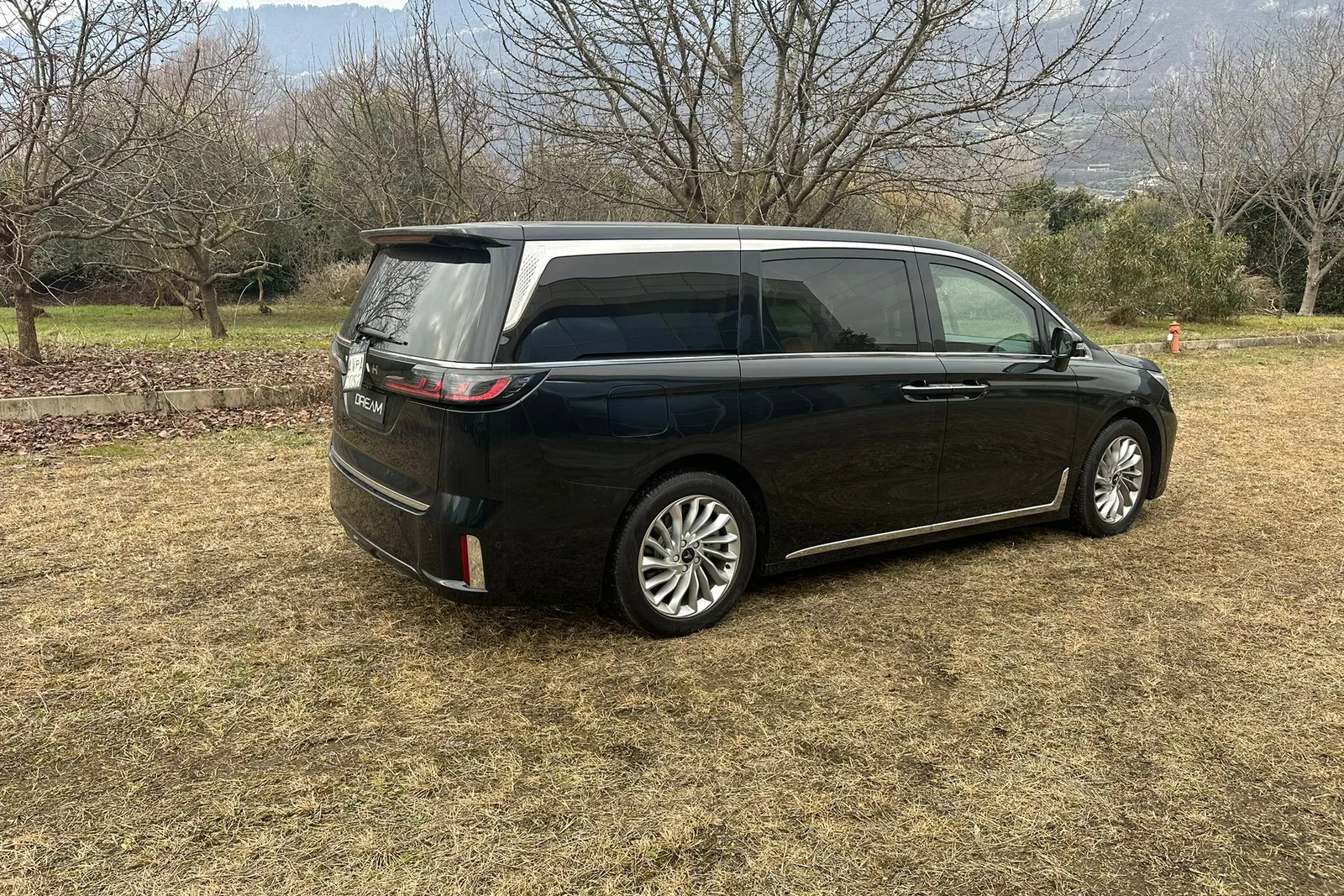 N. 2 autovetture Voyah (veicoli non targati, non immatricolati e non immatricolabili in Italia)