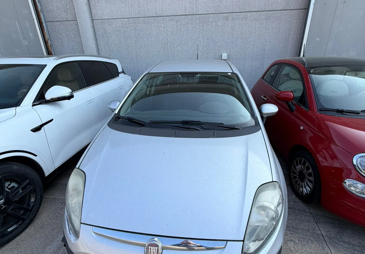 Autoveicolo Fiat Punto targato EL268FE