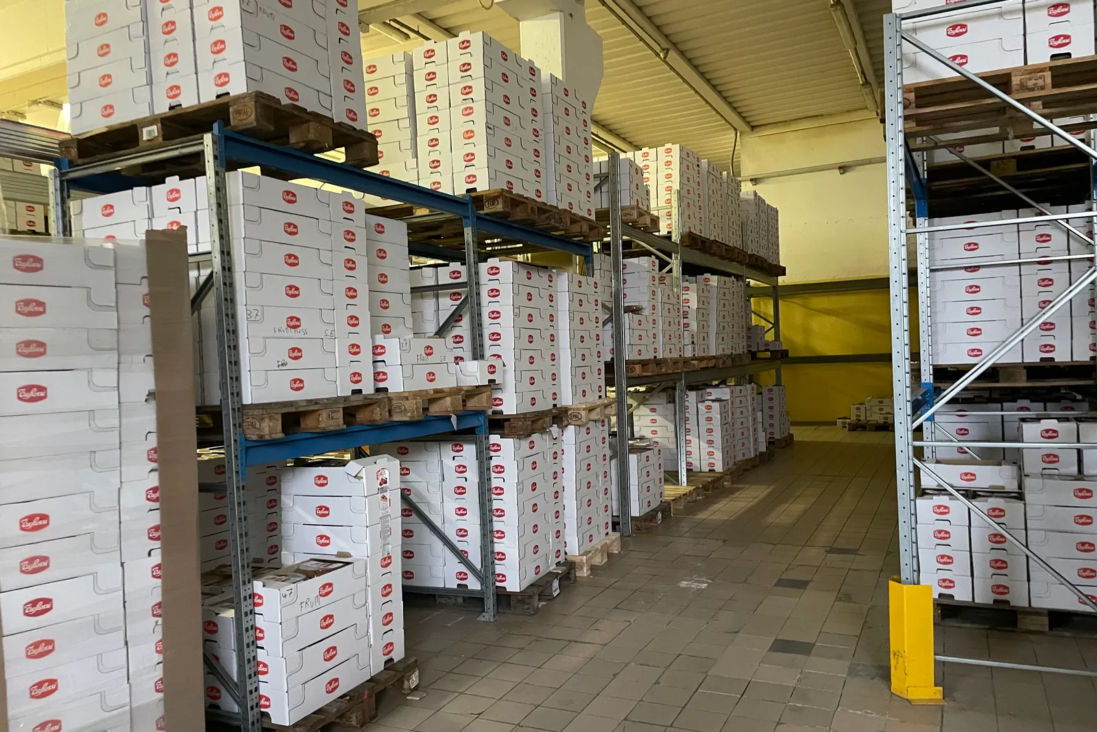 Macchinari a attrezzature per attività di pasticceria